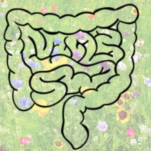 El intestino es un jardin