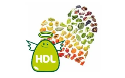 Colesterol HDL o bueno