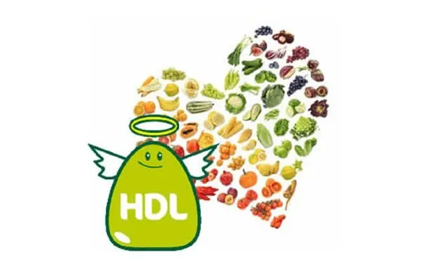 Colesterol HDL o bueno