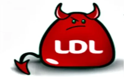 Colesterol LDL o malo