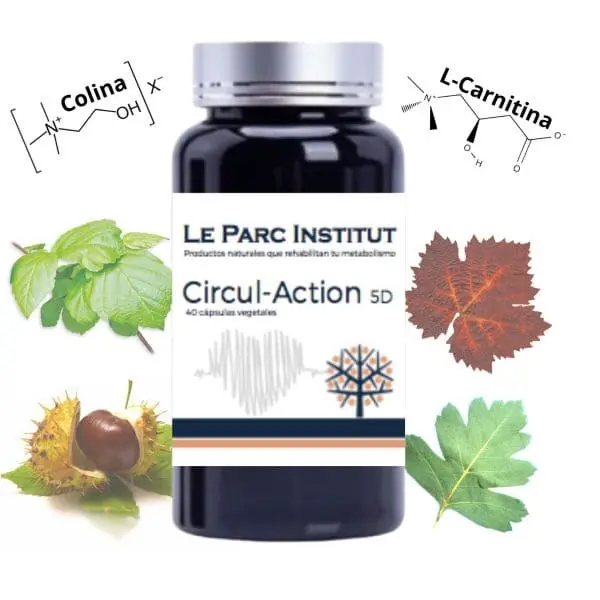 Circul-Action suplemento fisiológico natural para ayudar a tu sistema circulatorio